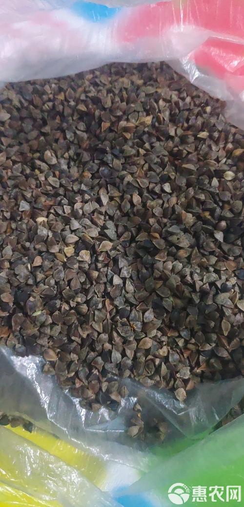 砚山批发荞花香烟价格解析，品质与实惠的双重享受